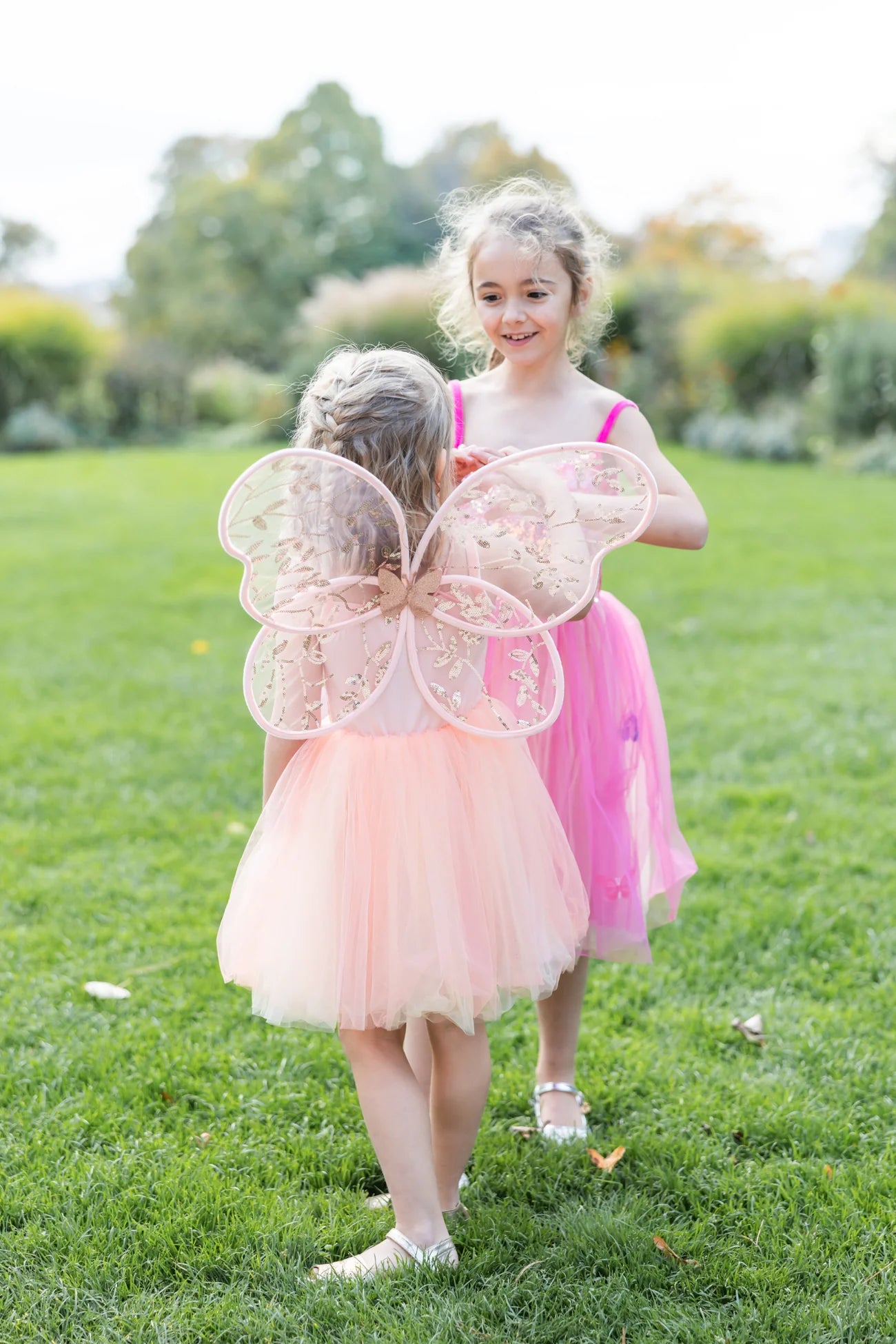 Butterfly Bliss Wings