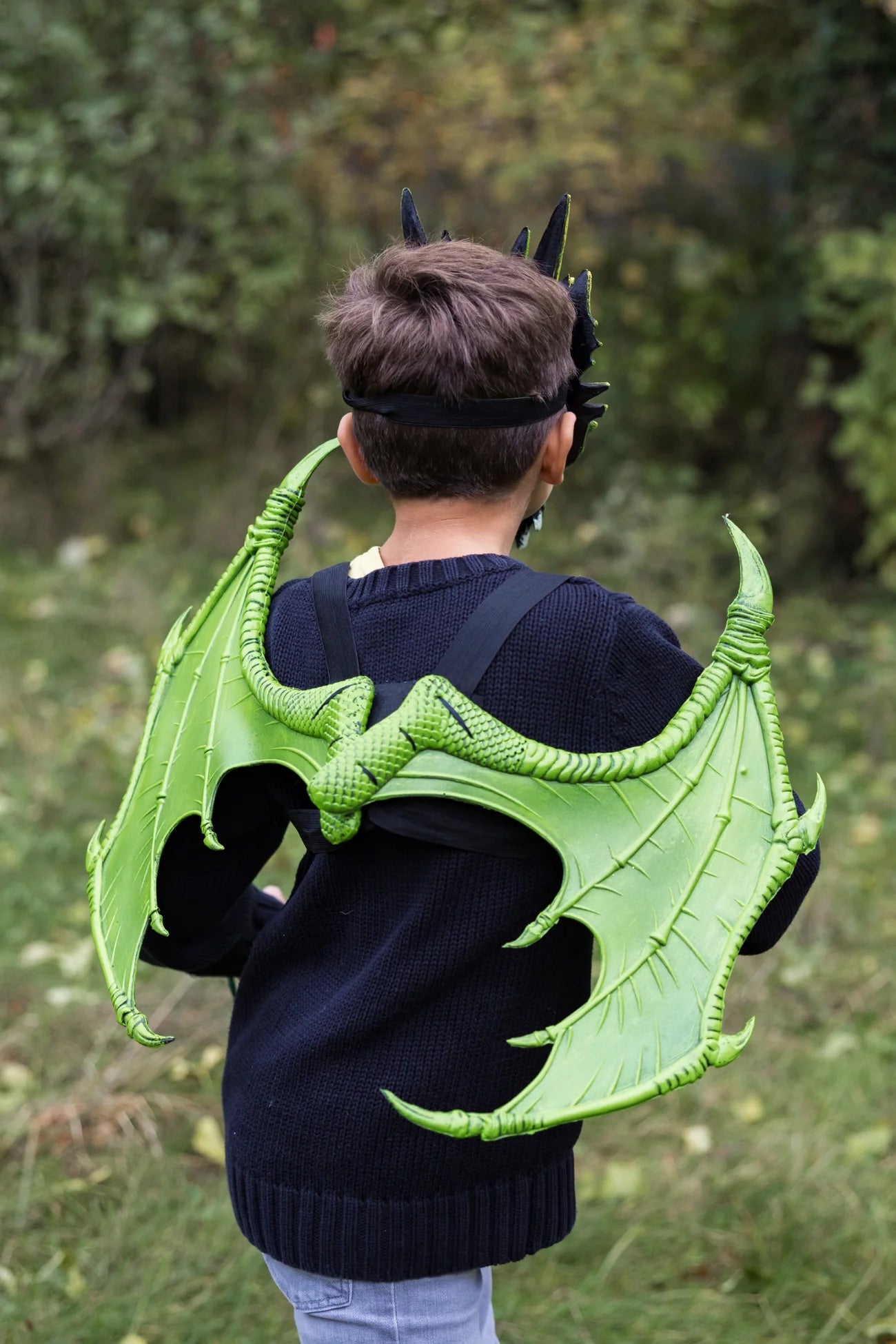 Dragon Wings
