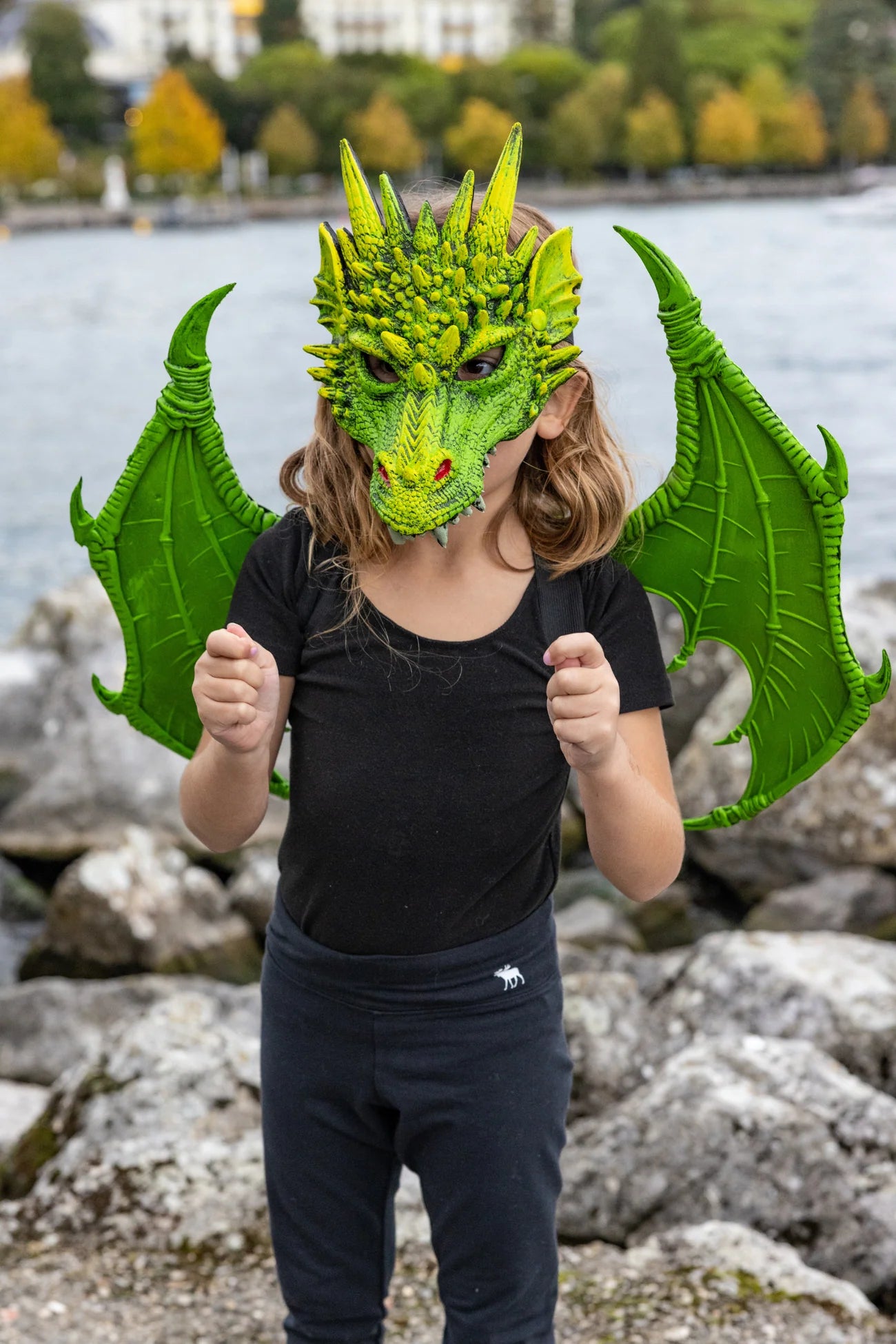 Dragon Wings