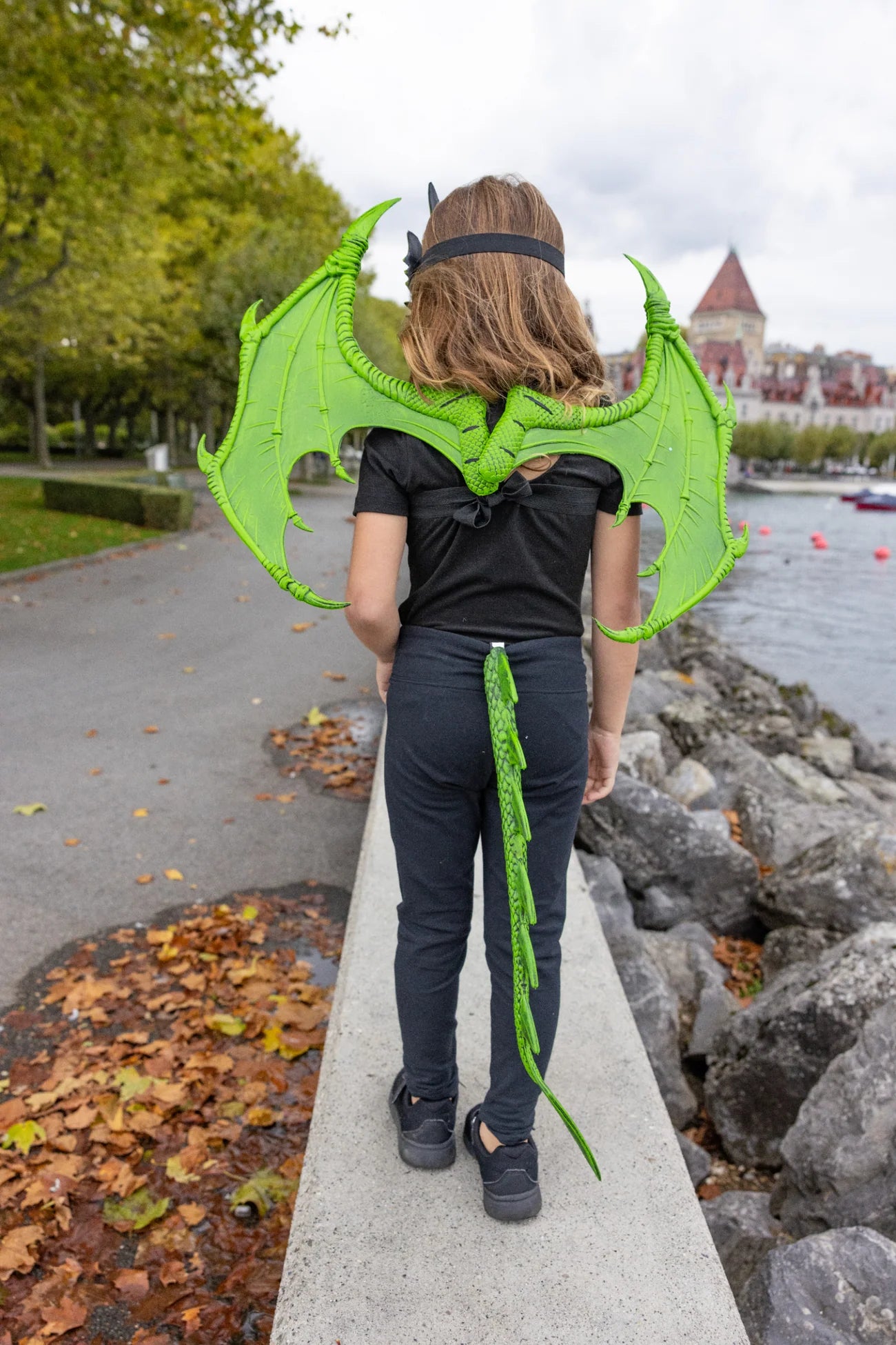 Dragon Wings