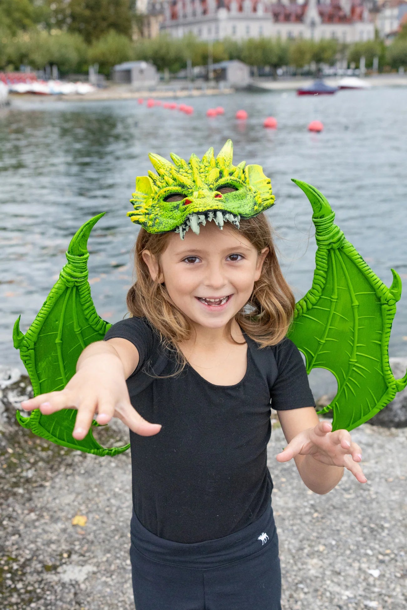 Dragon Wings